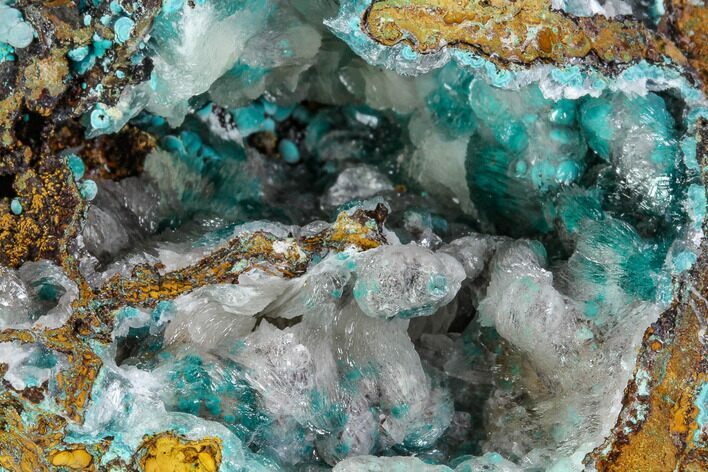 Rosasite, Aurichalcite and Selenite Crystal Association - Utah #109826